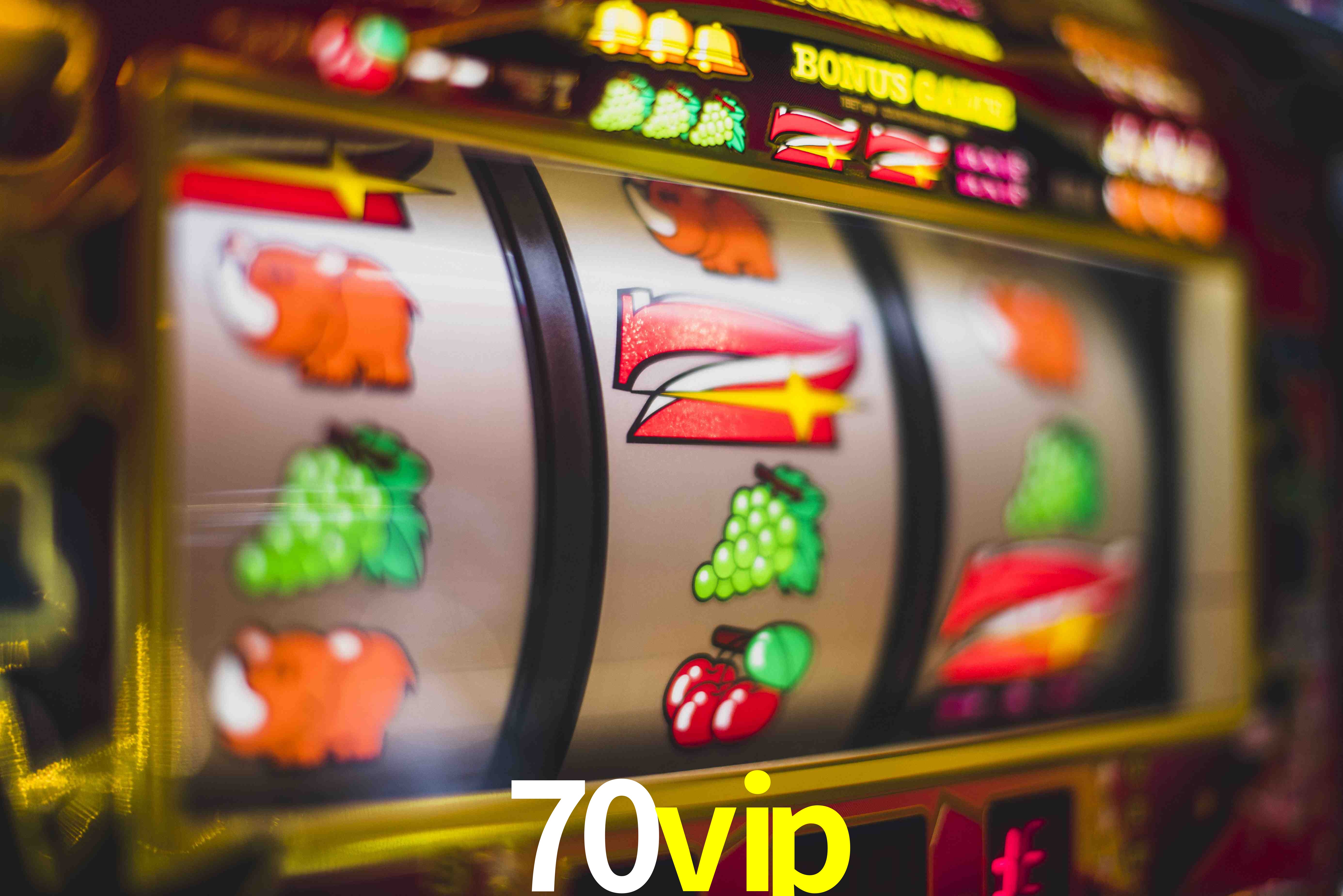 Statistics 70vip